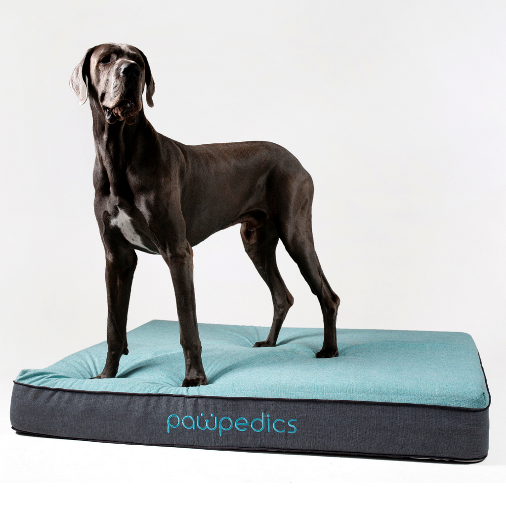 The Best Dog Bed For Large Dogs