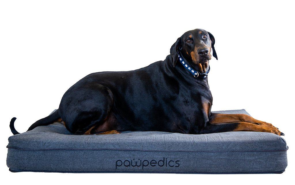 What makes a good dog bed?