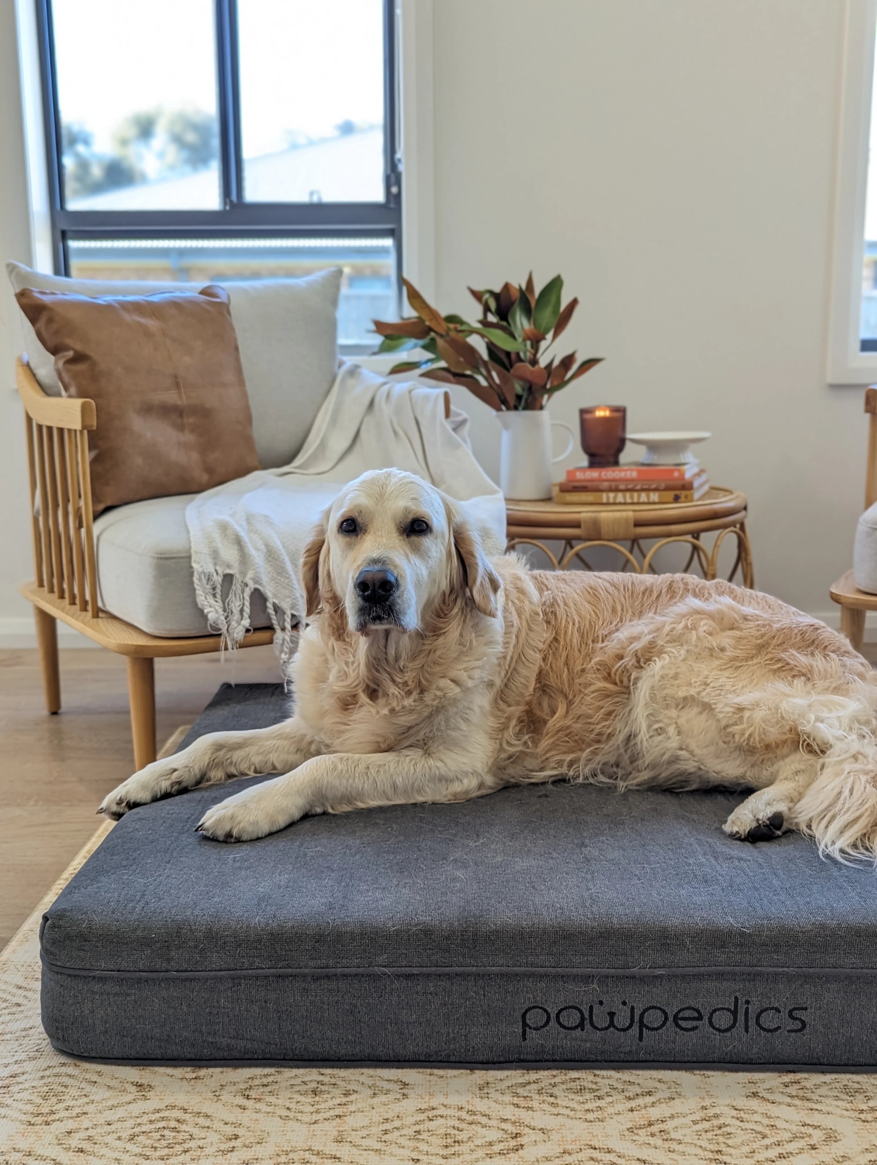 Orthopaedic Dog Best Dog Beds For Dogs With Arthritis Large