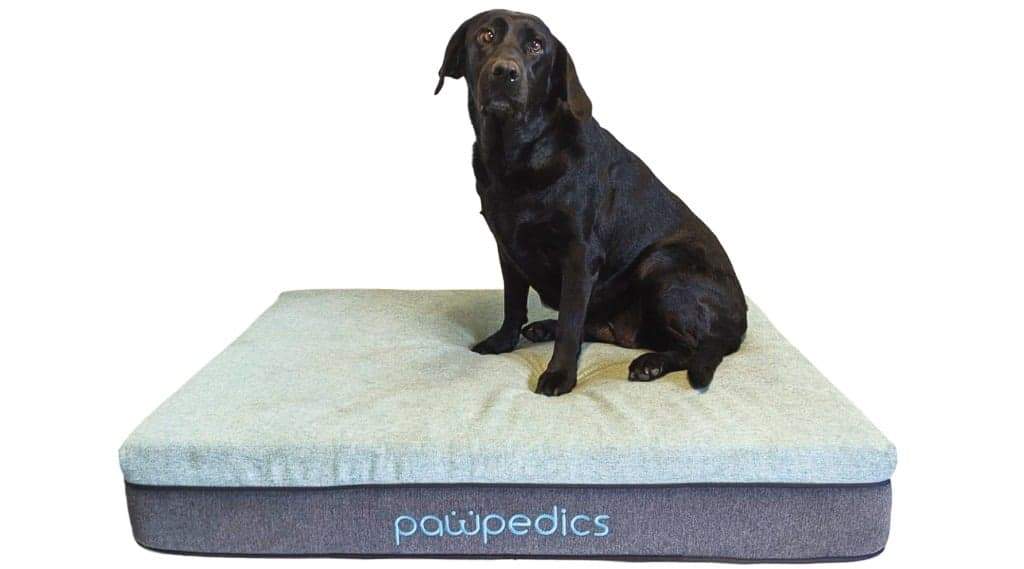 Stunning Elevated Canine Orthopedic Bed image